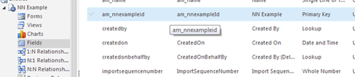 NN Entity Fields in Microsoft Dynamics CRM 