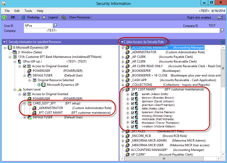 View by Security Role or System Level