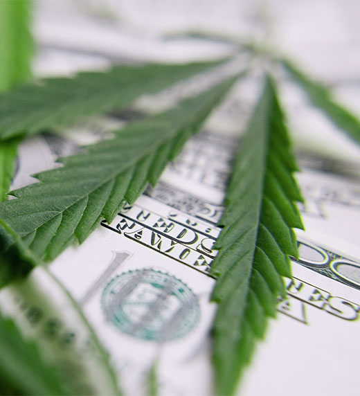 Cannabis Practical Advice From Auditor Financial Services Provider Webinar