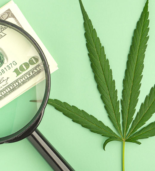 Why IRS Cannabis Audits Are Likely to Increase and How You Can Prepare 