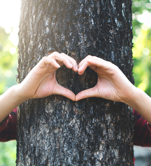 Why COP26 Matters for Your Business Webinar