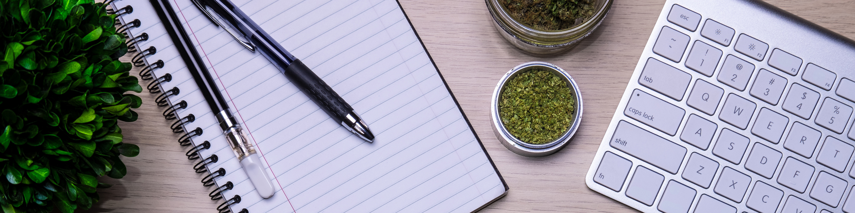 Cultivate Relationships with CRM for Cannabis Companies