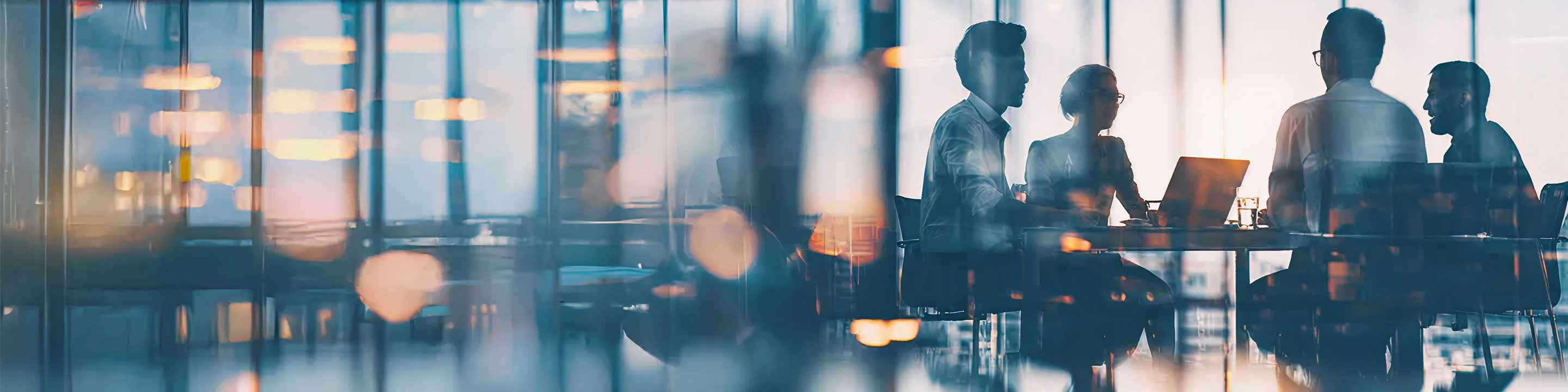Enterprise Resource Planning (ERP)