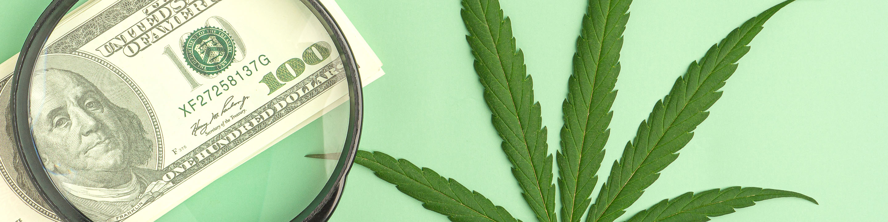 Why IRS Cannabis Audits Are Likely to Increase and How You Can Prepare 