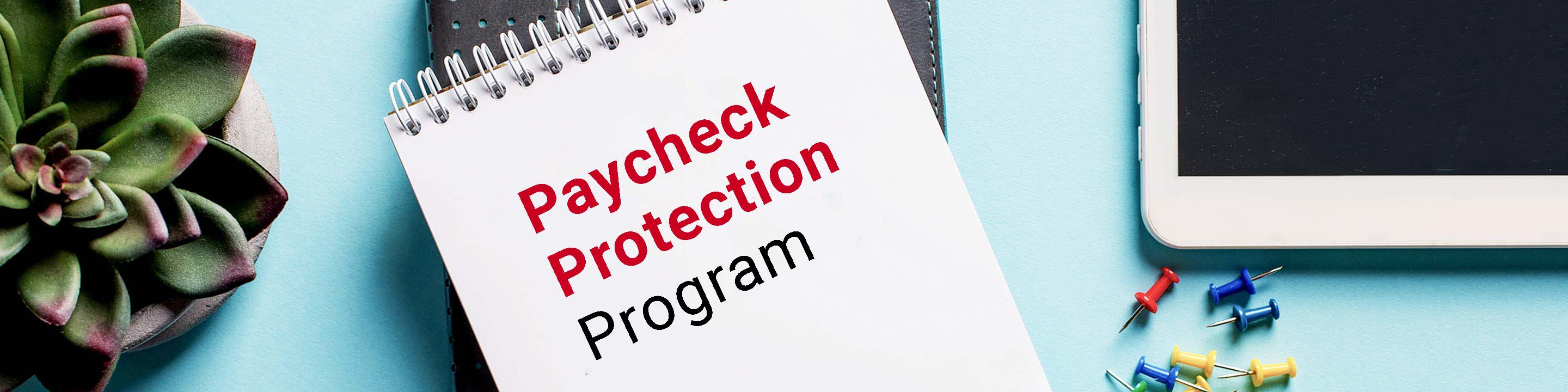 Paycheck Protection Program (PPP) Loans