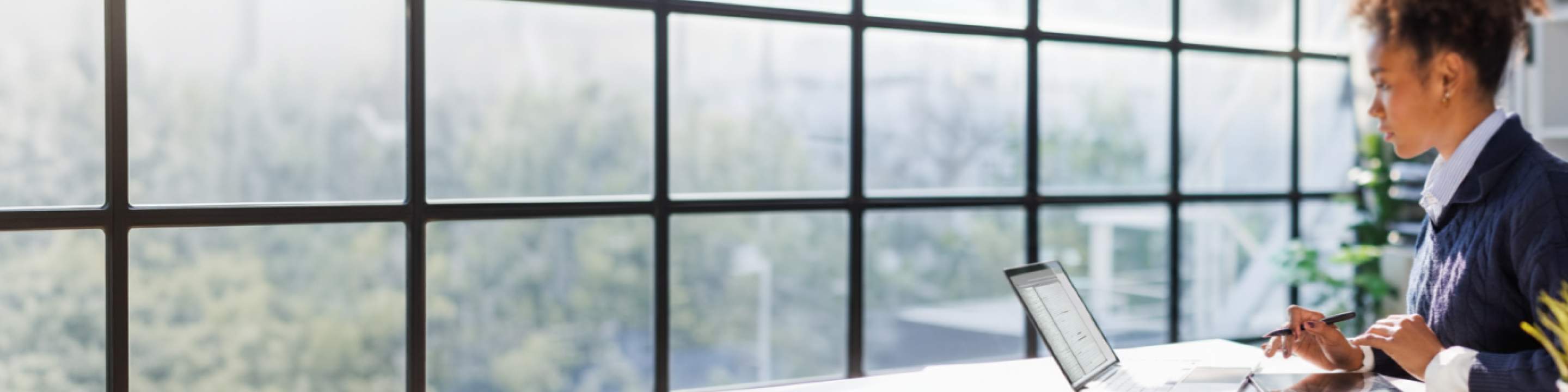 Tax Credits & Incentives Services