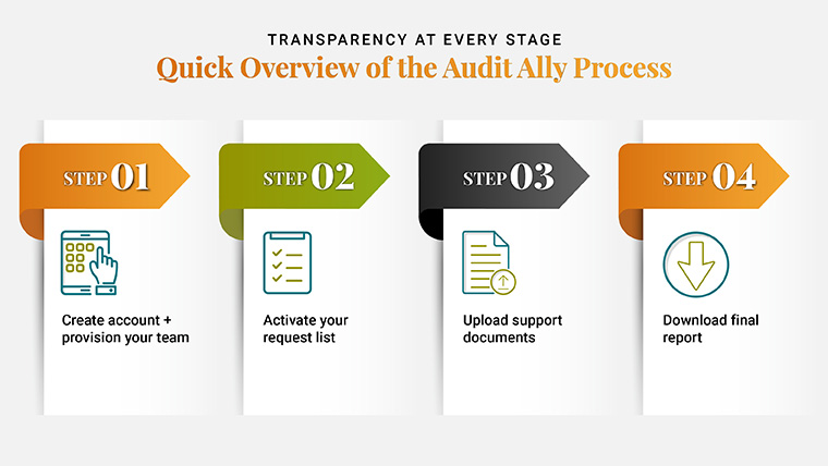 Quick Overview of the Audit Ally Process